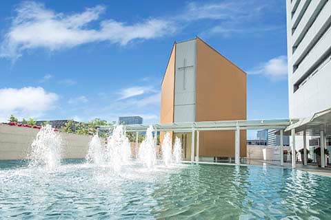 ライン友達限定　ヒルトンウエディングプラン