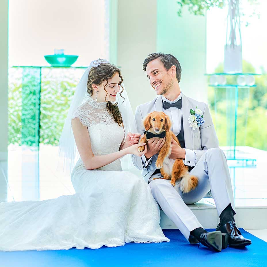 ペット婚ならではのご相談会