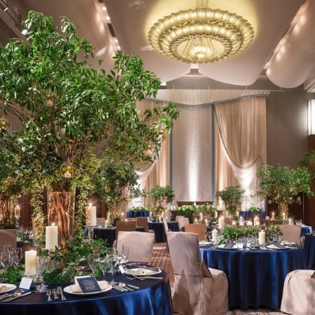 【土曜限定】ドレス25万付×宿泊25万付×絶品フルコース試食