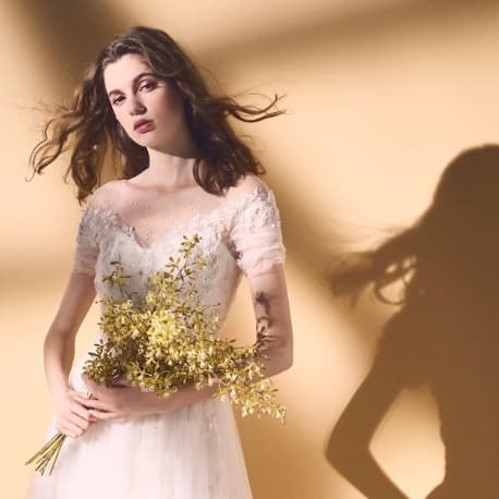 【日曜BIGフェア】口コミ高評価×絶品フルコース料理を堪能