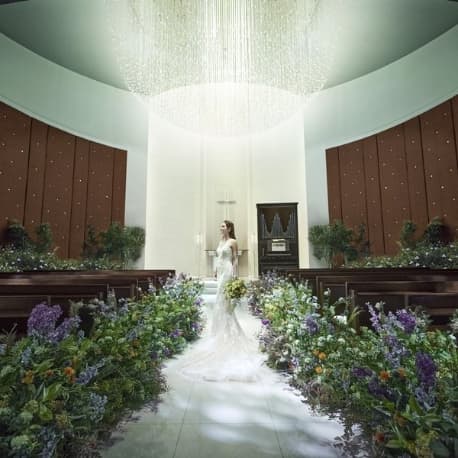 【日曜BIGフェア】口コミ高評価×絶品フルコース料理を堪能