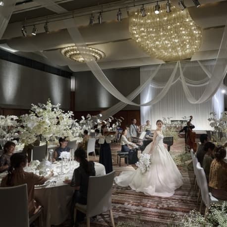 【日曜BIGフェア】口コミ高評価×絶品フルコース料理を堪能