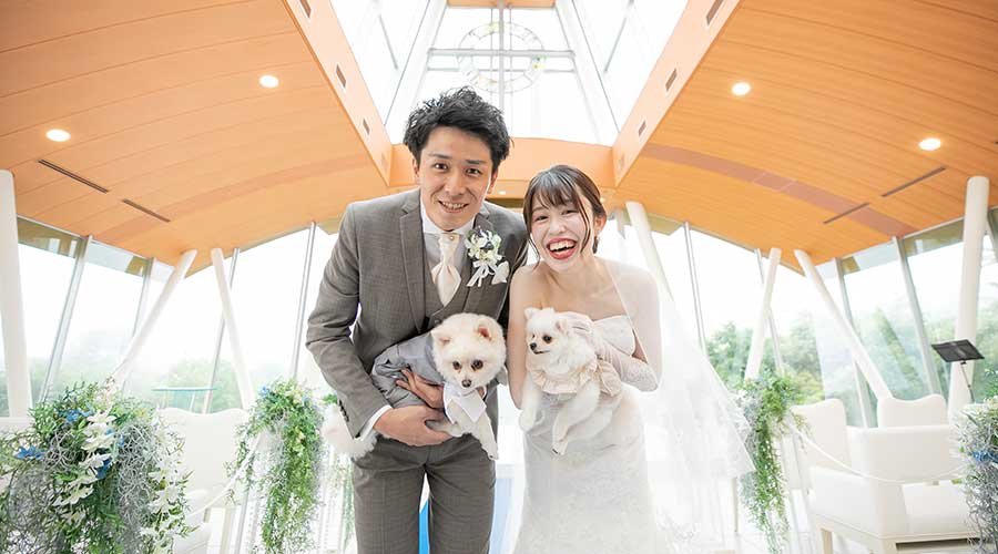 Wedding with your doggie